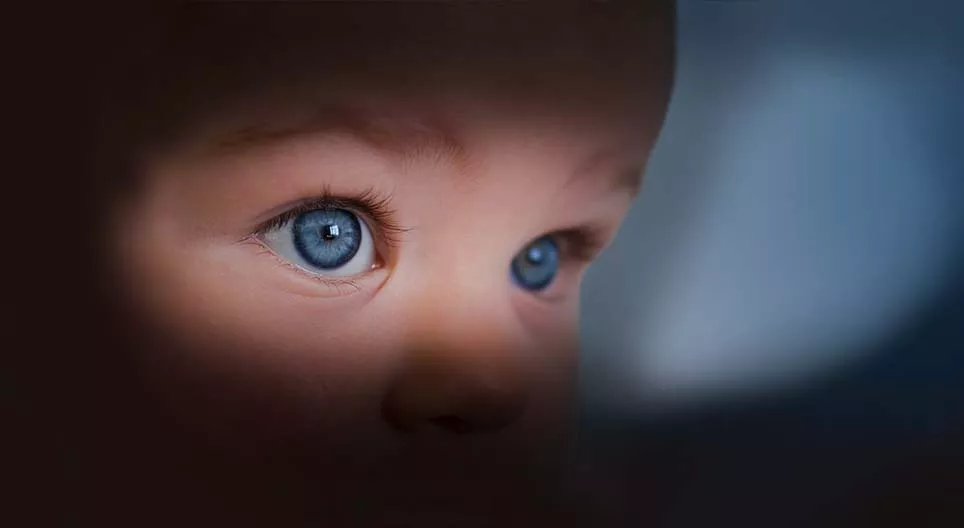 A vida secreta dos recém-nascidos