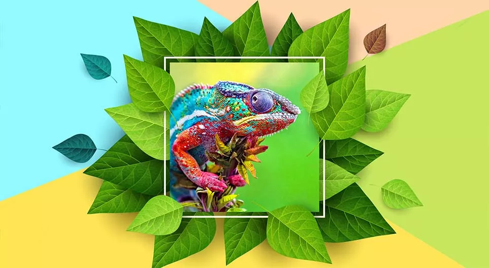 Mudanças de cor na natureza