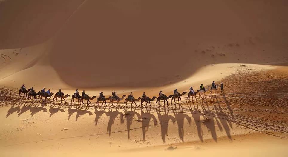 Junte-se à caravana!