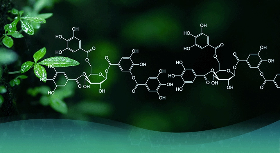 El desarrollo de la química orgánica