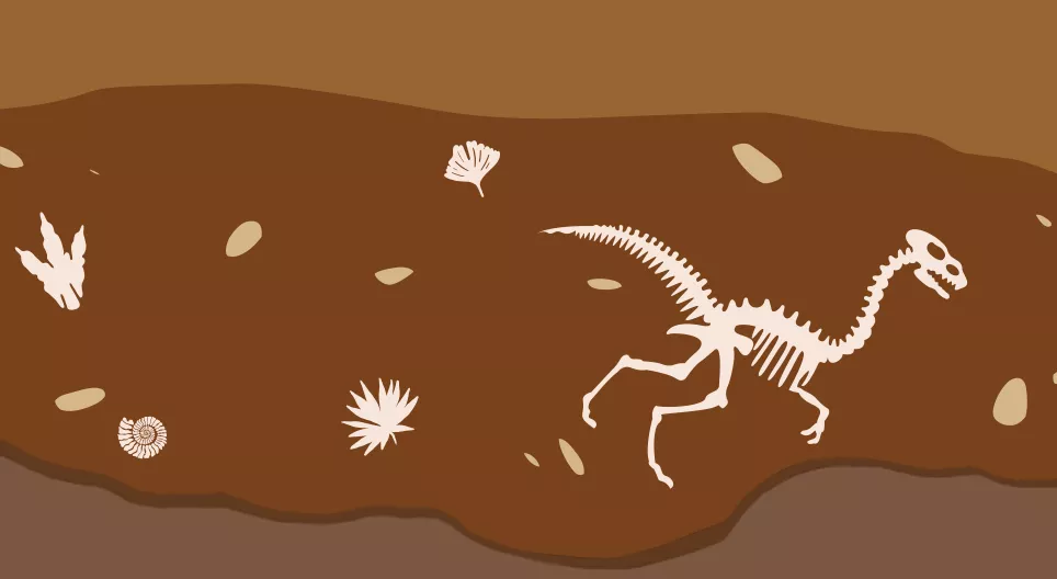 Como é que a vida se desenvolveu na Terra?