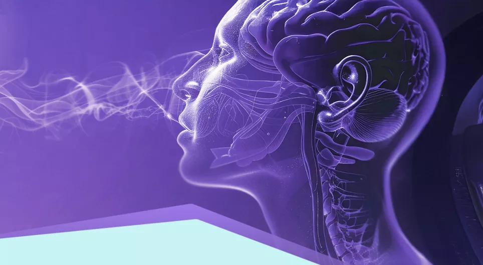 Sensores y receptores