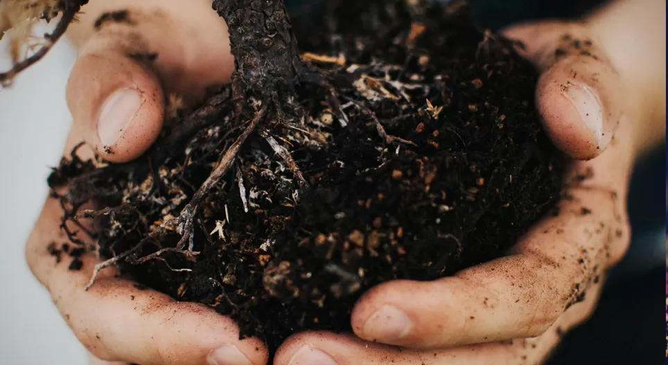 Como o solo se forma?