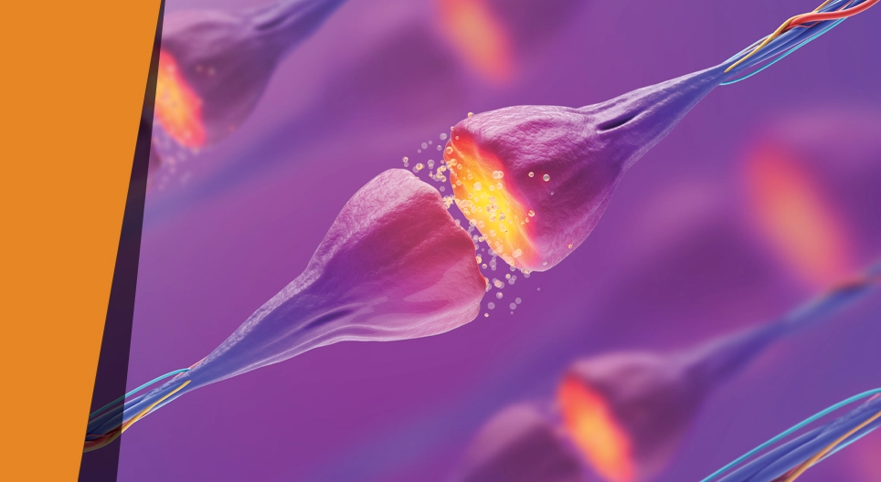 Sabores que desaparecem