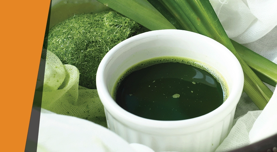 El color de las hojas