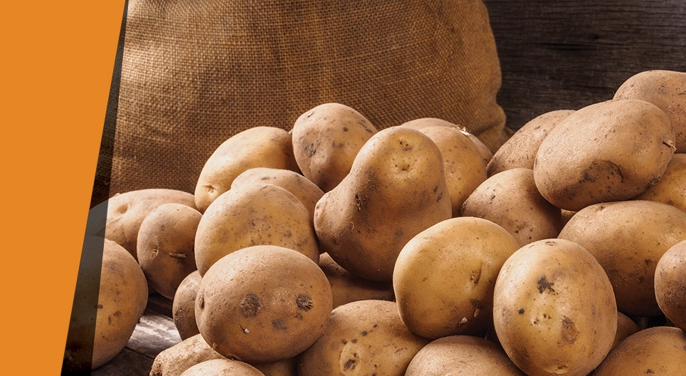 Catalizador de patata