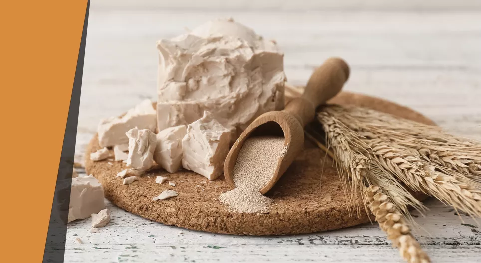 Levadura que infla globos