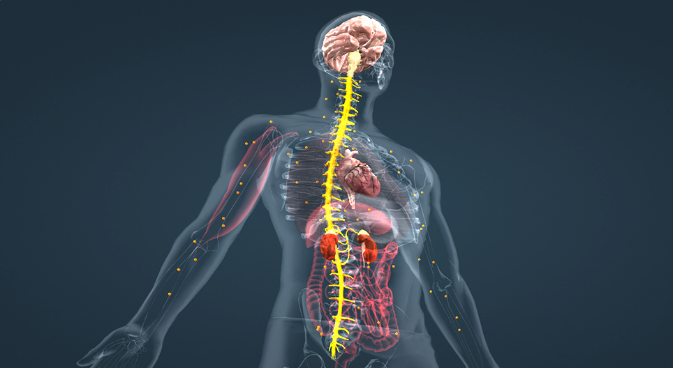 Adrenalina (avançado)