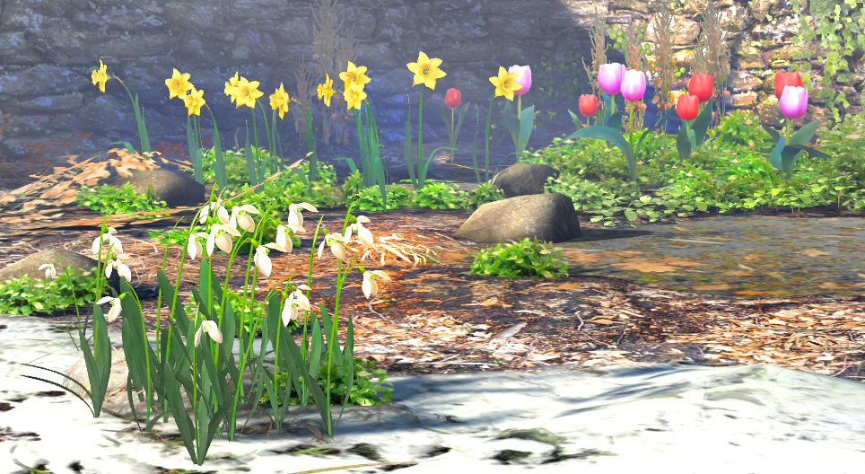 Plantas bulbosas de primavera