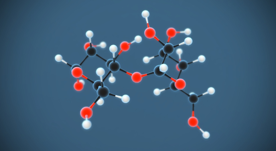 Maltose (açúcar de malte) (C₁₂H₂₂O₁₁)