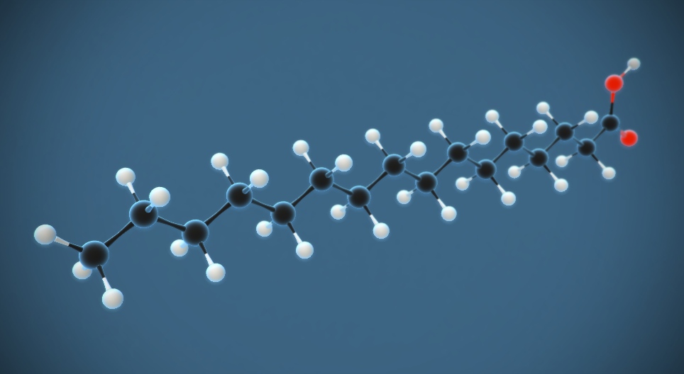 Ácido palmítico (ácido hexadecanóico) (C₁₅H₃₁COOH)