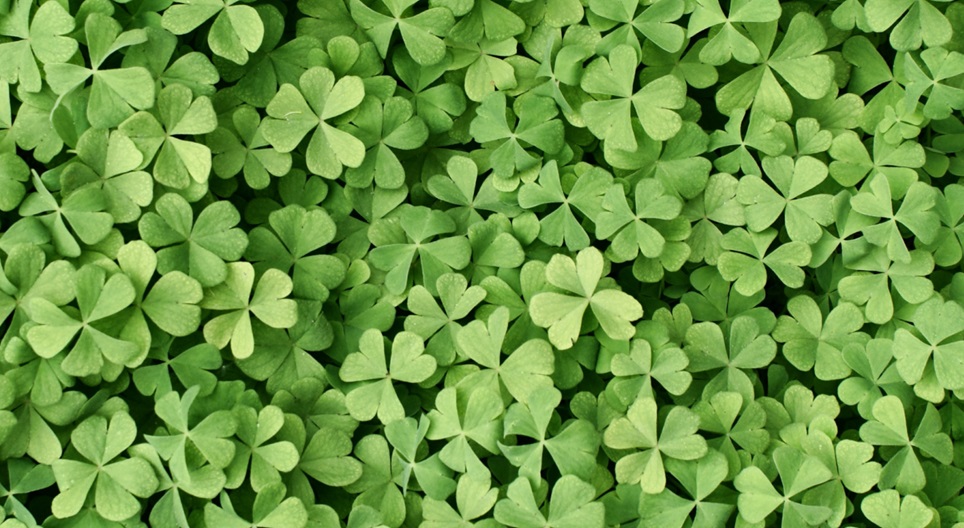 Vídeos educacionais